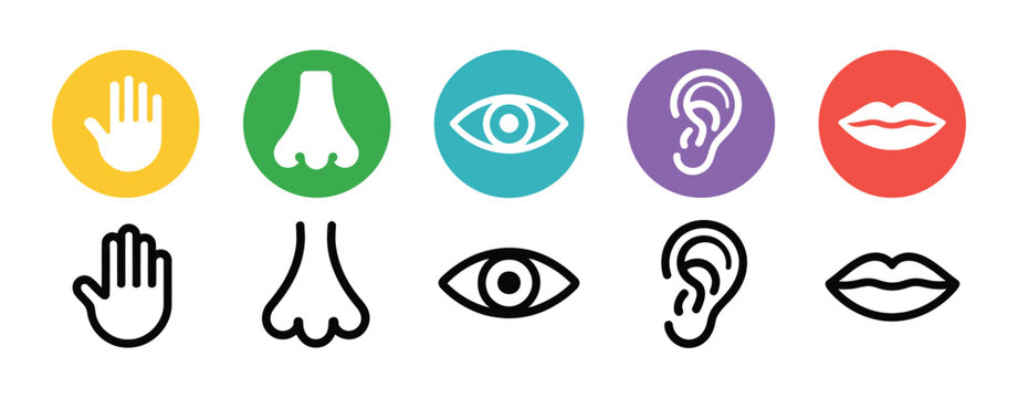 Five senses icon set, human vision, hearing, smell, taste, and touch, simple line icons with colorful circles, editable vector illustration for web, mobile apps, banners, healthcare, education