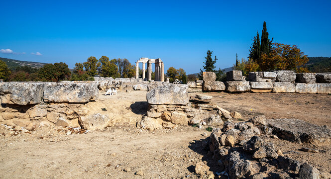 Temple of Zeus Ruins at Ancient Nemea, Greece