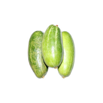 Three fresh pointed gourds with a subtle green hue and striped skin