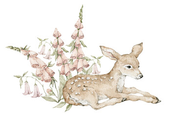 Watercolor cute resting deer and pink foxglove flowers. Woodland animal and nature © Kate K.