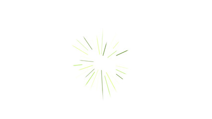 Obraz premium Circular burst of green and white radiating lines resembling a stylized firework or plant bloom on a solid black background for