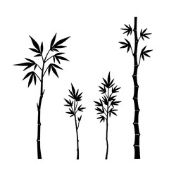 Obraz premium Four bamboo set with varying heights and leaf densities in a staggered composition featuring bamboo, vector, minimalist design with black and white and grayscale