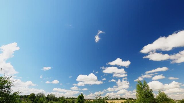 Beautiful Summer Cloudscape With Puffy White Clouds and Blue Sky Above Flat Horizon, Sunny Day Timelapse