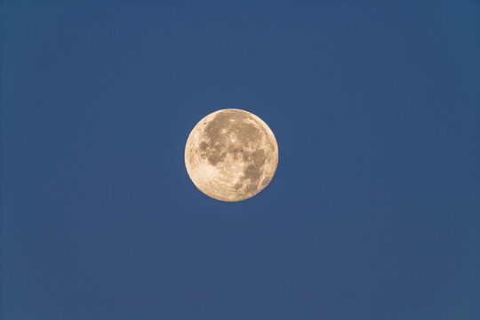 Bright Full Moon in the Clear Blue Morning Sky