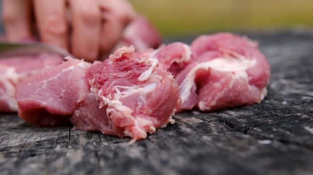 Step by step outdoor barbecue preparation shows pork cut into pieces, marinated with onion rings, spices and black pepper, threaded onto skewers and grilled over charcoal. Close up.
