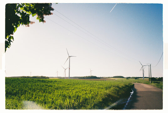 Wind turbines beside a green field on a rural road