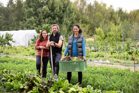 Porttrait of a Farm Workers Group Stand Together in a Vegetable Field