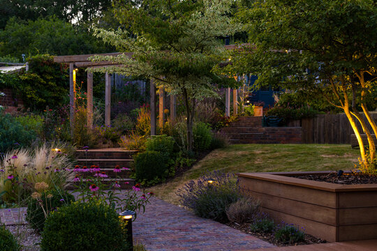 Dusk in a landscaped garden