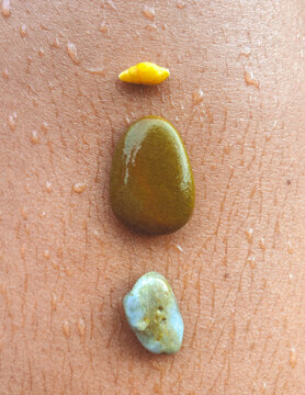 Tropical Treasures 