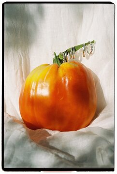 A still life with tomato and jewellery