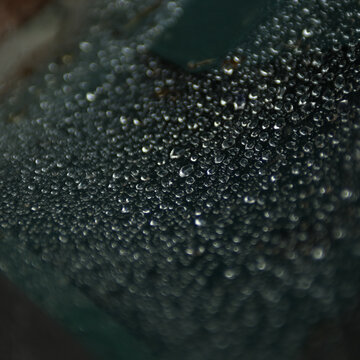 Rainy Day Spider Web