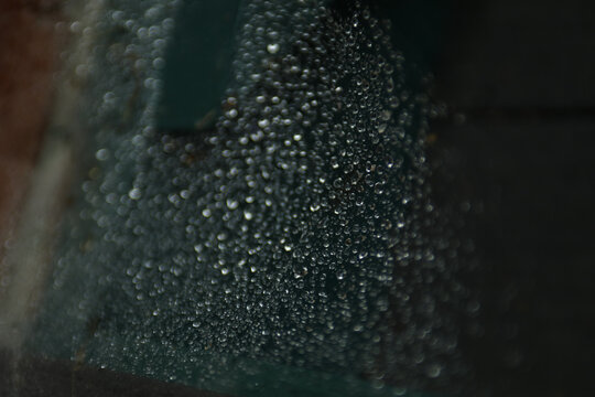 Rainy Day Spider Web