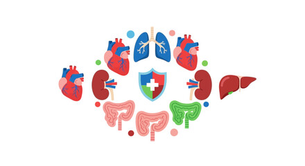 Fototapeta premium Human Internal Organs and Medical Shield Vector Illustration for Healthcare and Wellness Concepts