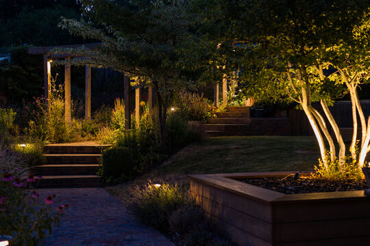 A beautifully lit landscaped garden at night