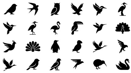 Naklejka premium Bird Vector Icon Set Flying Animals Silhouette Glyph Collection
