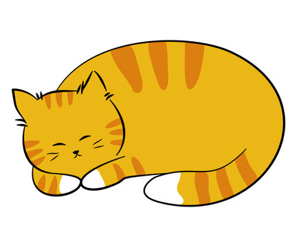 Cute sleeping orange tabby cat cozy curled up kitten vector illustration
