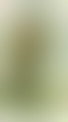 Obraz premium Soft Green Blur Background With Subtle Gradient Texture, Minimal Abstract Vertical Calm Surface For Design