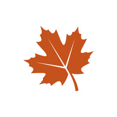 Fototapeta premium Minimalist brown maple leaf graphic.
