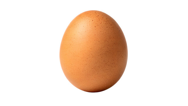 Single Fresh Brown Whole Chicken Egg Standing Front View Isolated White Background