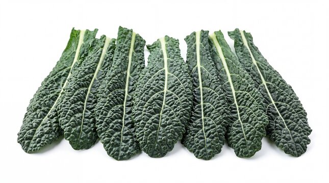 Fresh tuscan kale leaves arranged in a neat row for healthy cooking isolated on white background