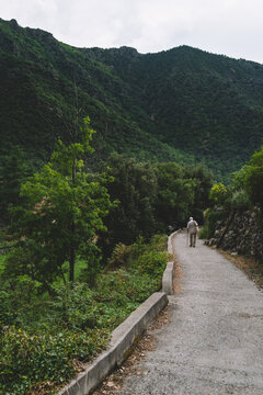 Elderly man walking alone on a mountain road surrounded by greenery