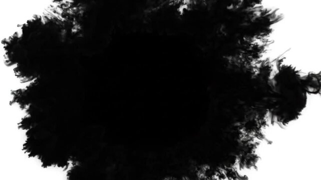 Black ink bleed expanding on white background transition effect video sequence
