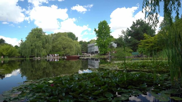 Right to Left Panoramic View of Garden Pond With Water Lilies and Reflections 