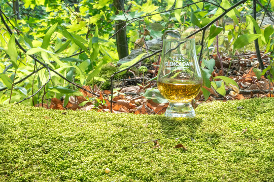 Glencadam branded tasting glass filled with amber Scotch whisky standing on green moss in a forest setting with vibrant leaves. Ukraine, Zhytomyr, August 27, 2026