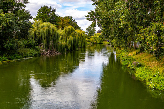 Canal between leafy green trees and wild vegetation, weeping trees in the background, calm greenish waters with reflections on the surface, cloudy summer day in South Limburg, Netherlands