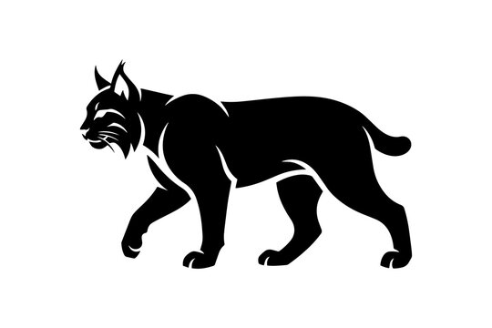 black horse vector illustration