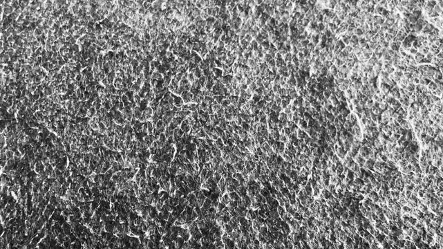 Abstract gray rough surface texture with subtle grain and natural detail, ideal for backgrounds, overlays, and creative designs