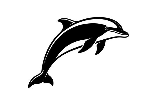 dolphin isolated on white background