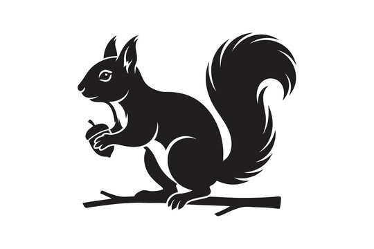 squirrel on a branch