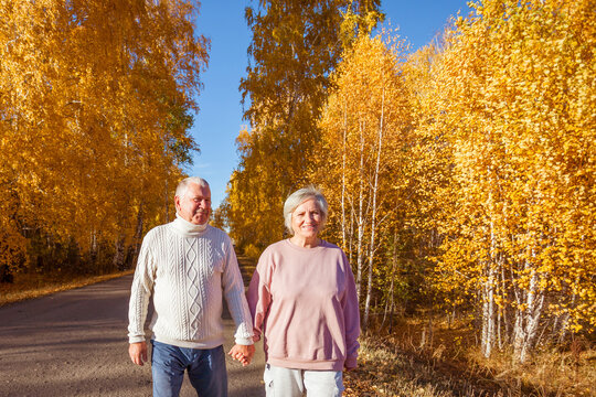 Happy senior couple walking hand in hand in autumn park. Elderly man and woman strolling along road with golden birch trees. Active retirement, love and togetherness concept.