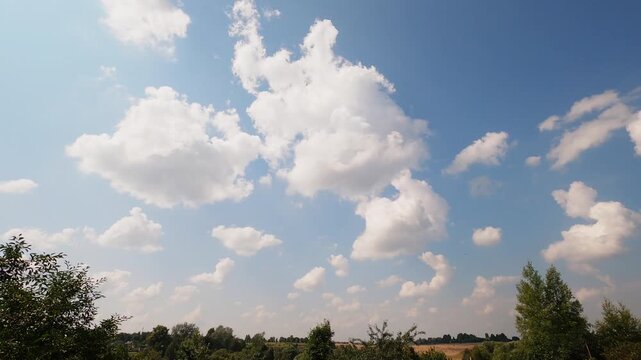 White Clouds Forming and Changing in Blue Sky Timelapse