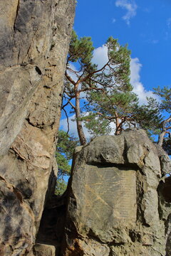 Historical inscription carved into sandstone rock with pine trees against a blue sky