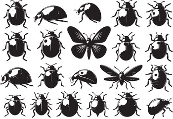 Fototapeta premium Simple Ladybug Silhouette Shape Isolated on White Background