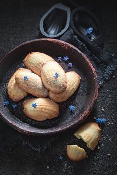 Golden Madeleine cookies baked in classic fluted molds.