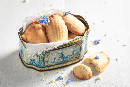 Sweet Madeleine cookies served as classic French snacks.