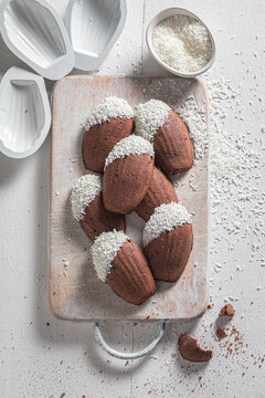 Homemade chocolate Madeleine cookies baked in shell-shaped molds.
