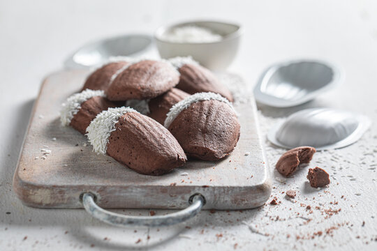 Tasty chocolate Madeleine cookies baked inside shell molds.