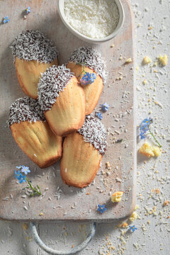 Tasty Madeleine cookies baked in traditional fluted molds.