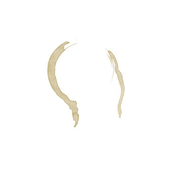 Two abstract coffee brushstroke splashes isolated on white background, translucent curved espresso ink marks