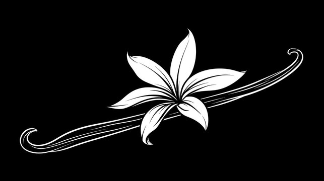 white flower ornament on black background with elegant flourishes