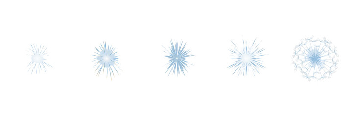 Obraz premium Set of five light blue starburst and snowflake isolated on a transparent background