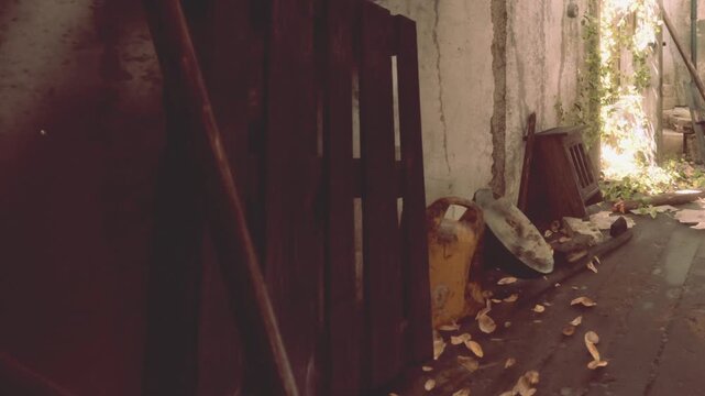 A narrow alleyway shows old wooden pallets and debris scattered on the ground. Leaves and vines grow along the walls in an urban setting during daytime.