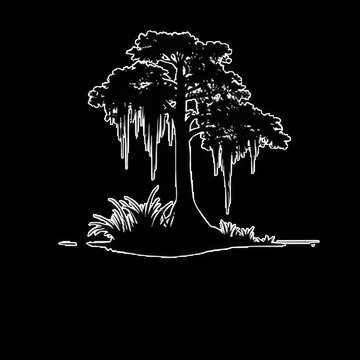 White line drawing of an oak tree with hanging moss