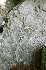 Rock Fossil Background in Vermont, the US  © flysnow
