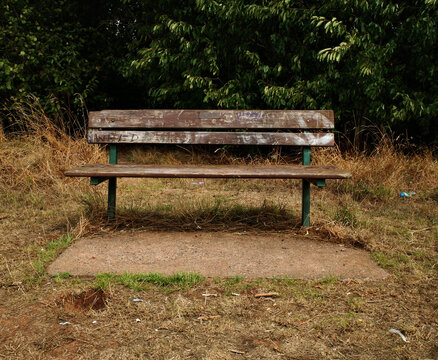 bench in the park