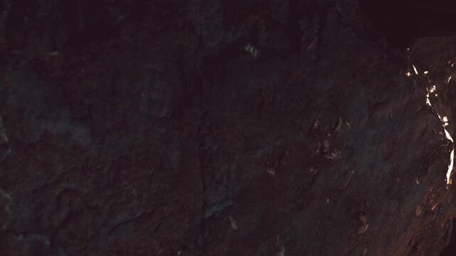 Light filters through a dark cave, illuminating a rock surface. The rock displays various textures and colors. Small leaves are scattered on the ground near the rocks.